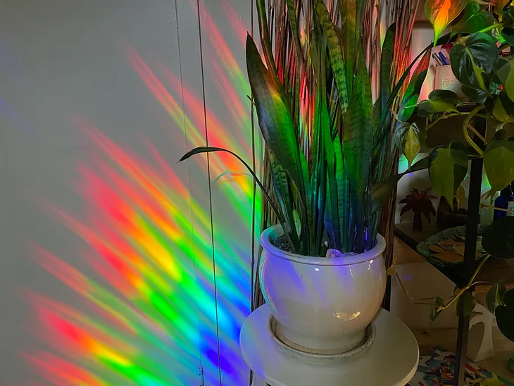 Rays of rainbow light illuminate a potted plant in a ceramic white vase, as well as a white wall.