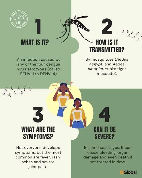 Understanding Dengue: Causes, Symptoms, Prevention, and Treatment