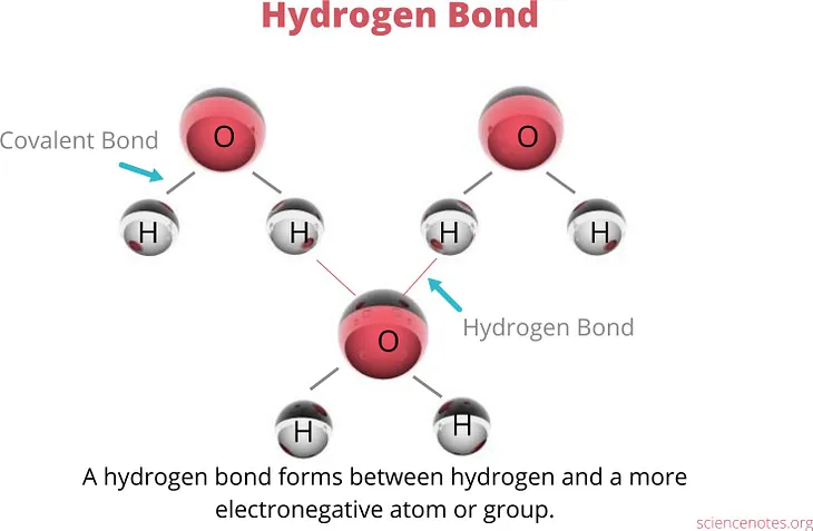 What is hydrogen bonding?