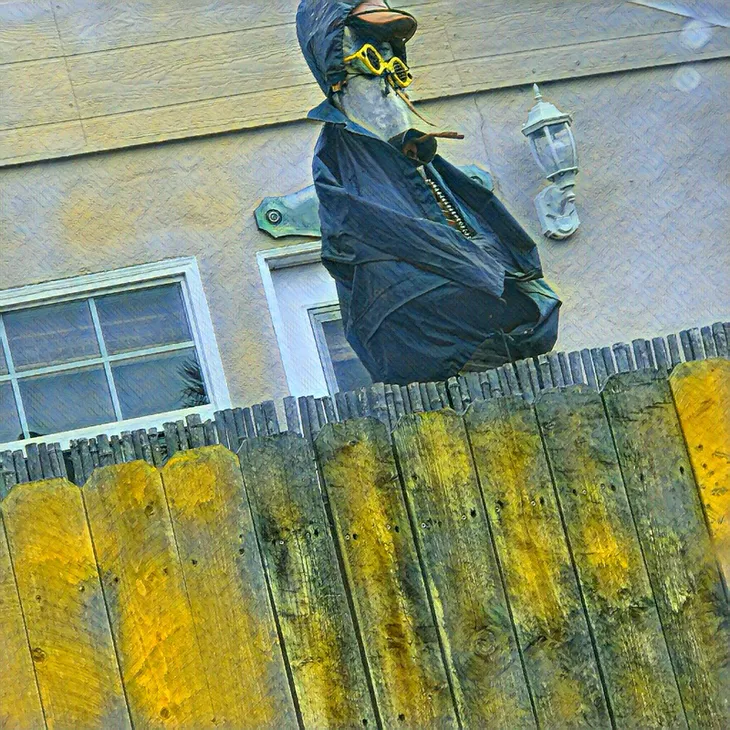 Mean scarecrow doing a stare down.