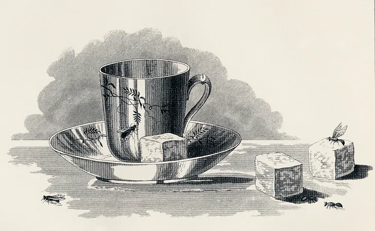 Illustration of tea cup, saucer, sugar cubes and flies in various places.