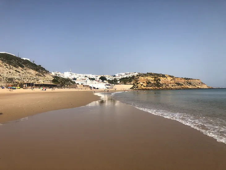 view of a beach and the shoreline