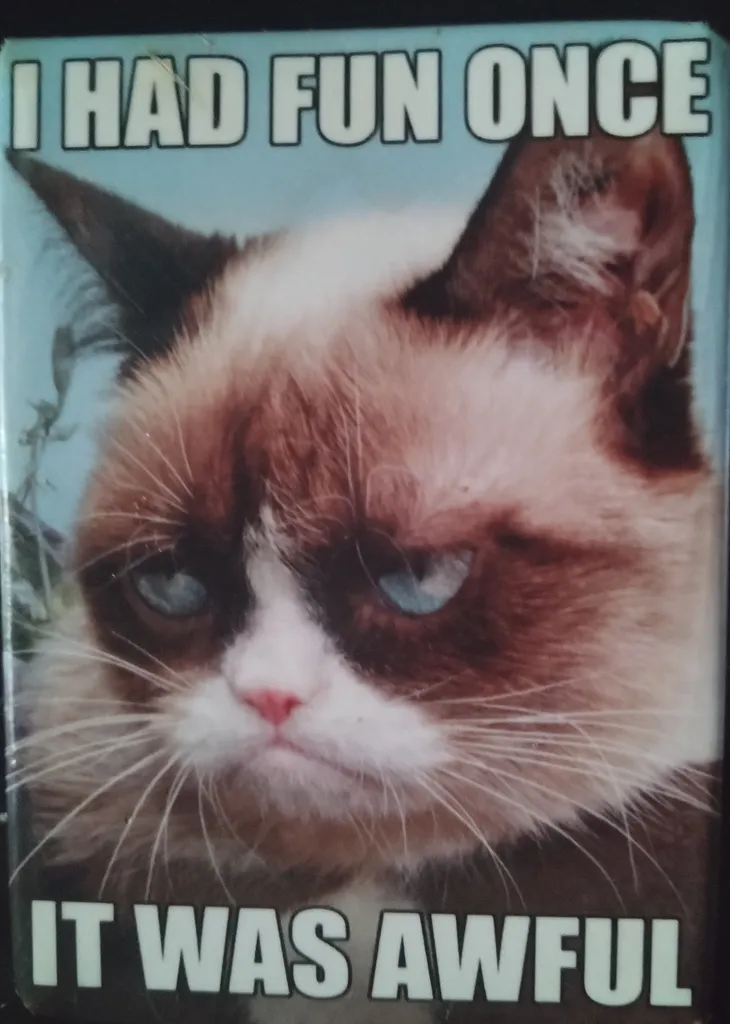 Grumpy Cat had a very unique facial expression