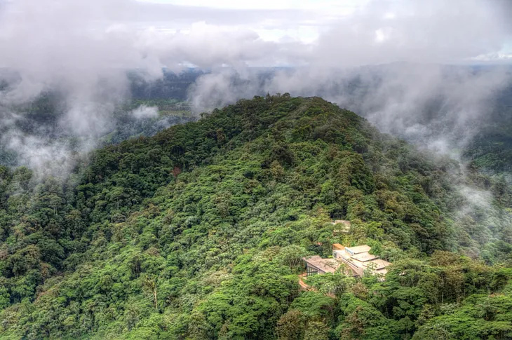 Strange creatures in the cloud forest of Ecuador