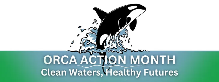 Orca Action Month: Clean Waters, Healthy Futures