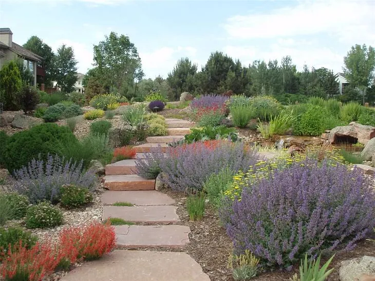 Anticipated Spring Landscape Design Trends: 11 Trends to Look Out For (2024)