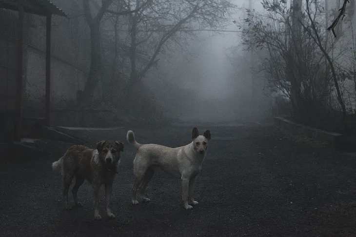 40 minutes Street photography in Armenia. Dark side of Yerevan