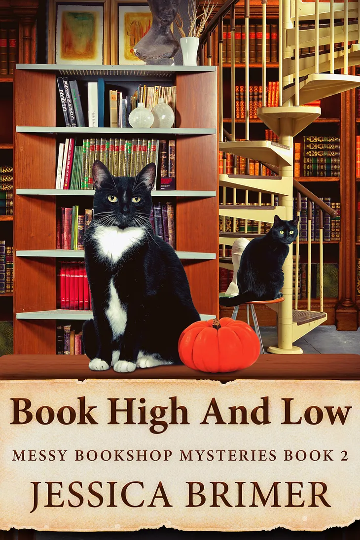 Book High And Low by Jessica Brimer [Cozy Mystery]