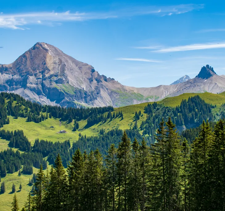 Forested green foothills with gray mountain peaks in background