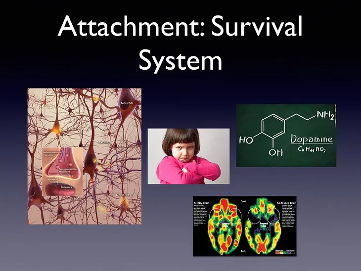 How Childhood Attachment & Trauma Issues and Recovery Is Actually More Biological, Not…