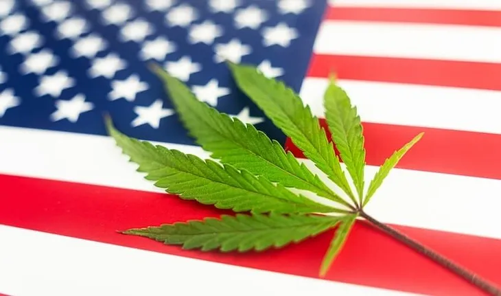 Hemp leaf on top of the American flag.