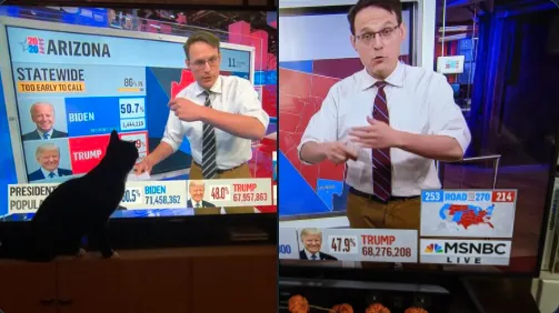 The Geeky Appeal of Steve Kornacki’s Khakis