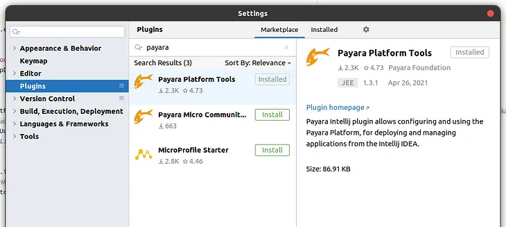 How to Debug your Java Application in a Payara Server #IntelliJ IDEA