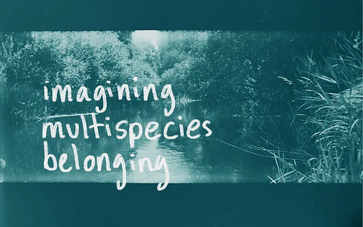 Introducing Imagining Multispecies Belonging: A Recipe Book