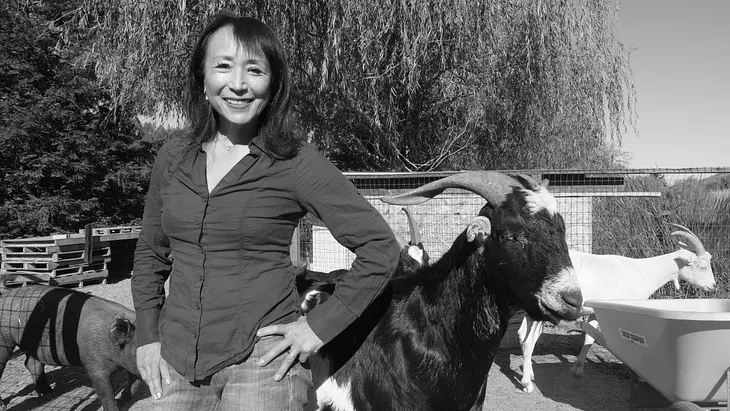 Miyoko Schinner, the Premier Pioneer of Plant-Based Cheese