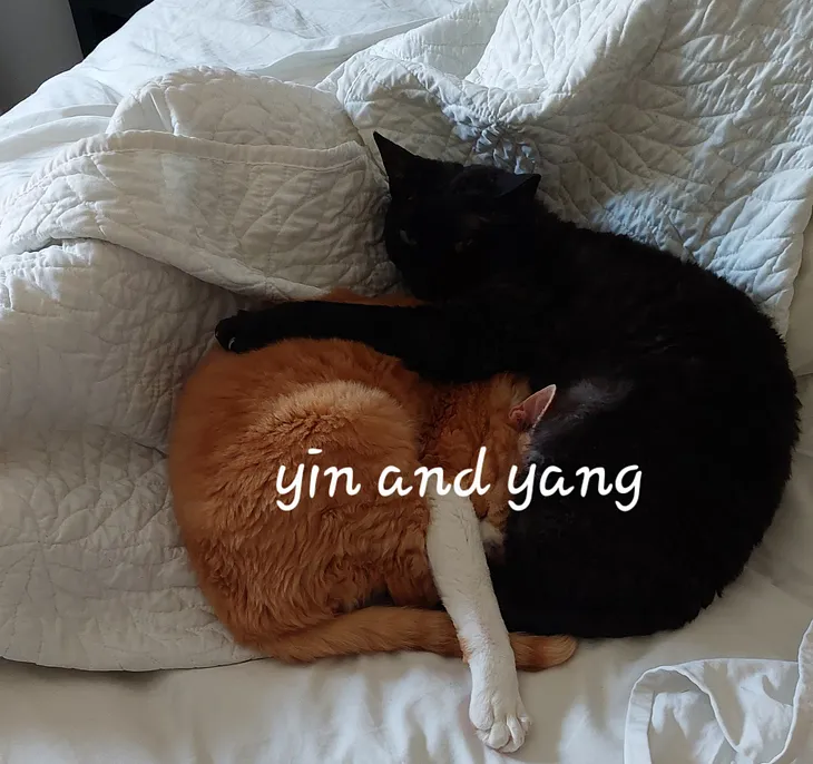 An orange cat and a black cat curled up sleeping on a bed