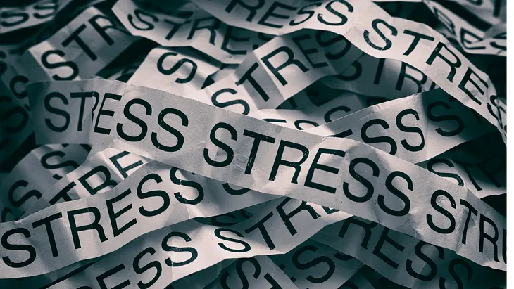 What Happens When You Get Stressed?