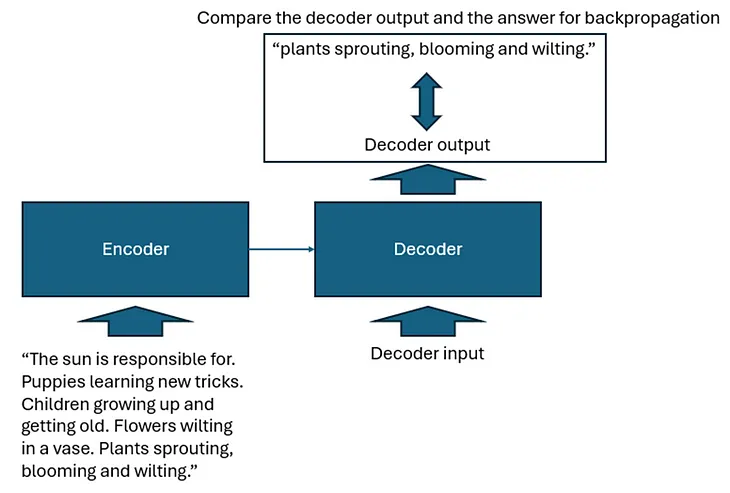 Understanding the Modern LLM — Part 2: Understanding Auto-Regression and Auto-Regression Training.