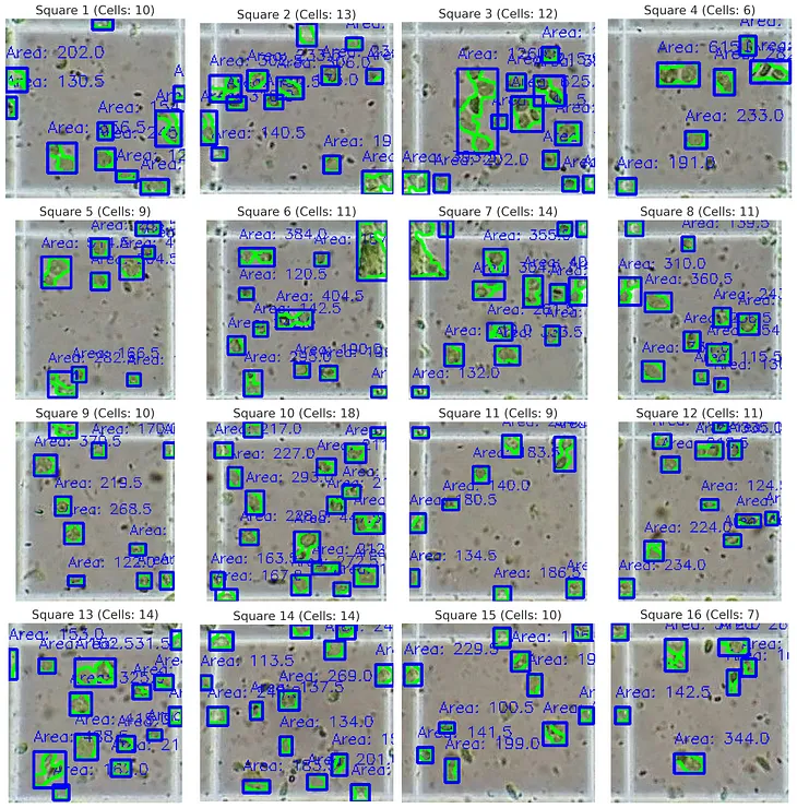 Detecting Green Cells in Grid Squares: A Step-by-Step Guide with OpenCV and Python (Part 4)