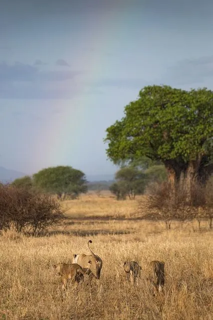 “Ultimate Luxury Safari in Tanzania: 6 Days of Serengeti, Ngorongoro & More”.