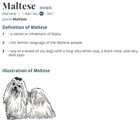 I’m Maltese.