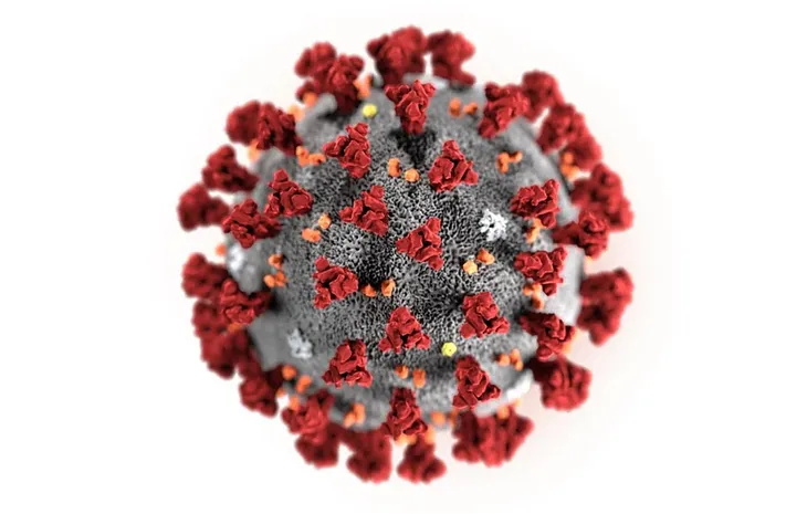 Good news on the anvil: Coronavirus vaccine in sight