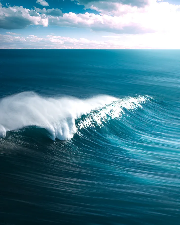 A wave in the ocean