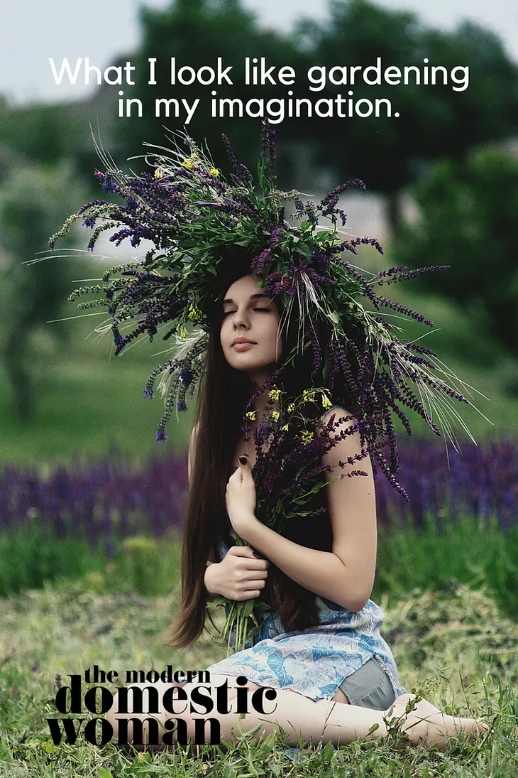 Building a better home for fairies