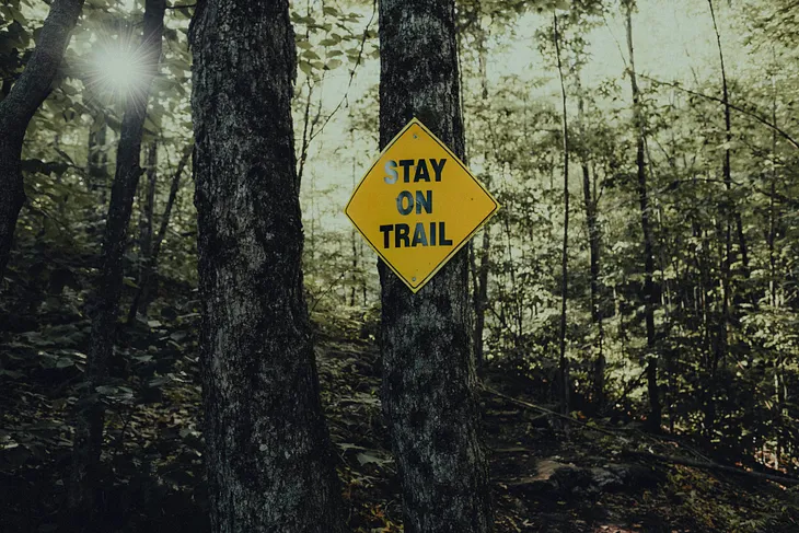 Two trees close up in a forest with sun shining between trees. A yellow diamond shaped sign with Stay On Trail is fixed to one of the trees