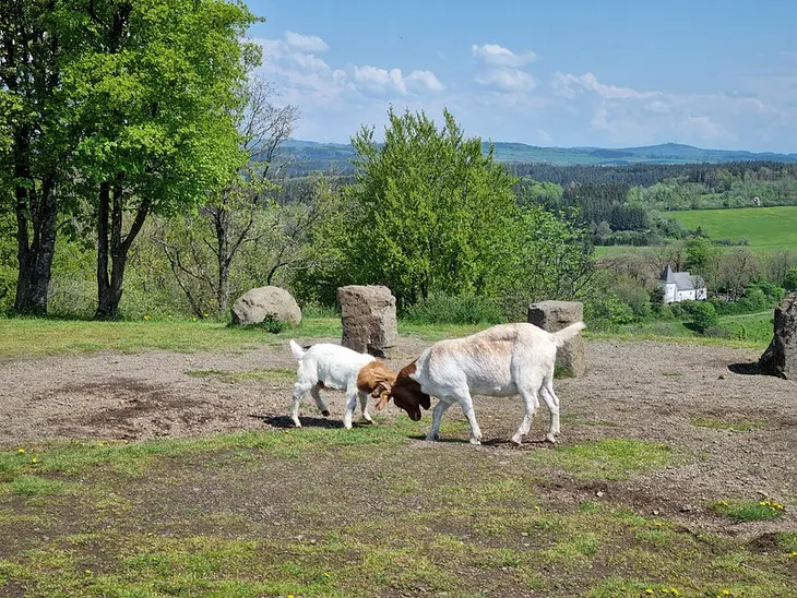 A Long Hike with my Galaxy Watch