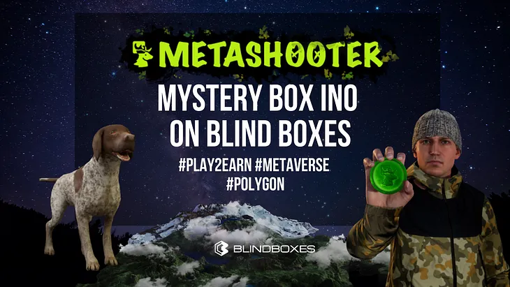 Metashooter INO on Blind Boxes: Everything You Need to Know