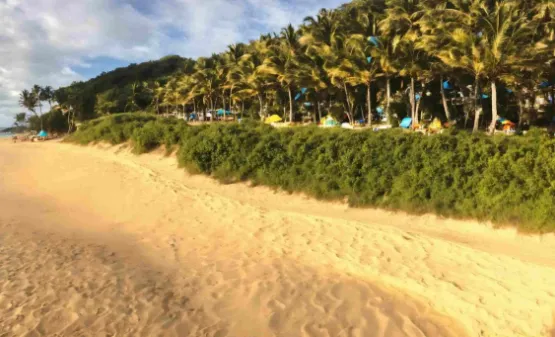 Sun, Sand and Serenity: Why You Should Be Visiting Blind Creek Beach in Florida — Tubidy