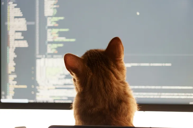 My vibecoding adventures with Lovable as a non-developer