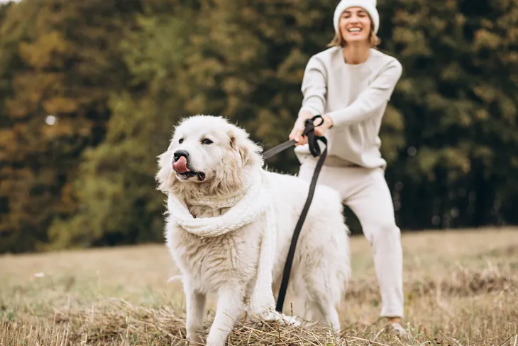 Woman wearing white clothes holds onto an energetic retriever.