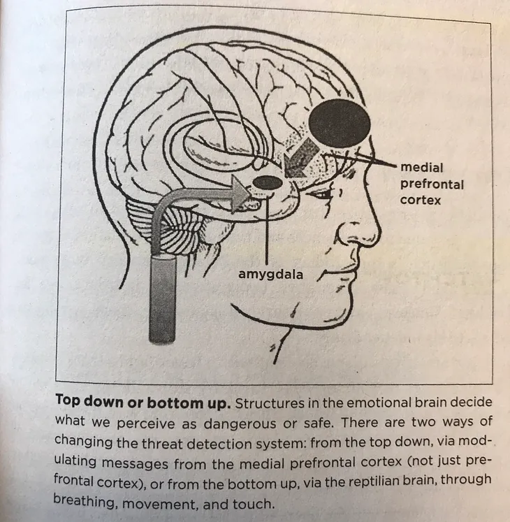 Learning & Behavior Struggles in Kids — The Smoke Detector Vs. The Watchtower Inside the Brain.