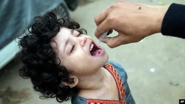 ‘‘Poliovirus near extinction in Pakistan, Afghanistan, health experts say’’