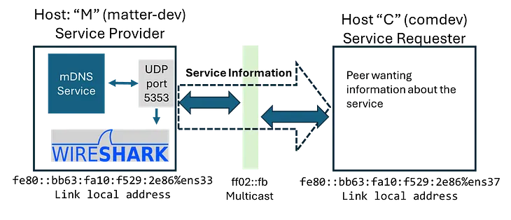Understand mDNS with an Example