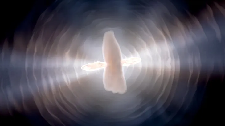 Last gasps of dying Sun-like star captured by Hubble