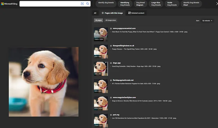 Visual Search with Azure or SerpApi: Discover if Your Pictures Are Being Used and Find Related…