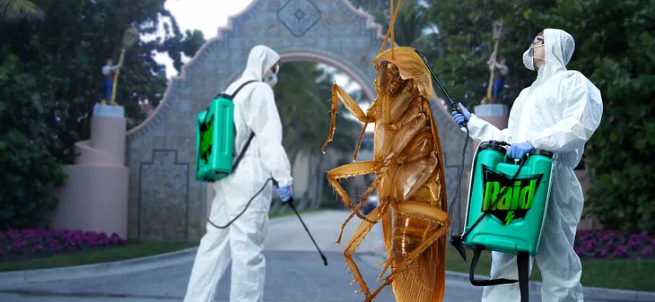 Exterminators spray giant cockroach outside Mar-A-Lago
