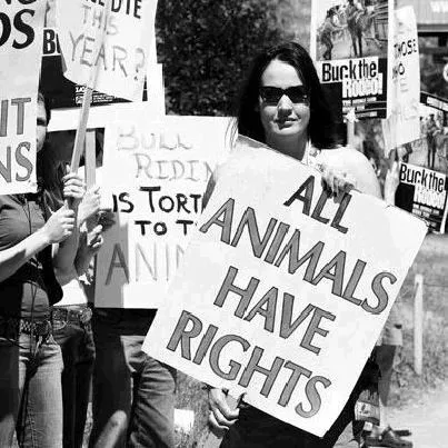 Animal Rights: Right to Life and Liberty