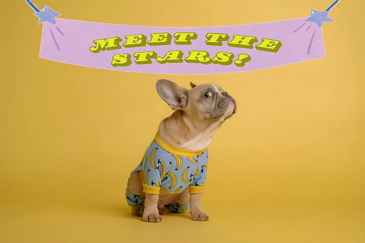 A French bulldog wearing blue pyjamas with a banana motif, sitting beneath a purple banner on which is written, in yellow, “Meet the stars!”