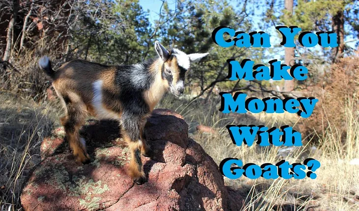 Can You Make A Living Off Of Goats?