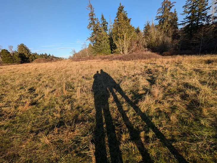 Two people’s shadows, shoulders touching, stretch over a winter-brown field with trees in the distance.