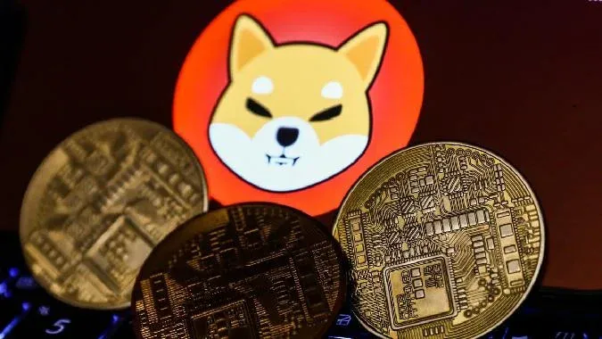 Shibanu unveils new service that could boost the price of SHIB tokens.