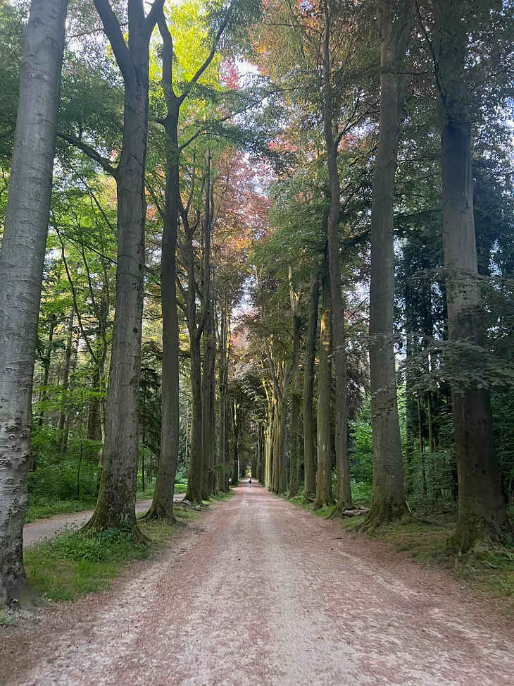 Walks in nature have become a rather critical ingredient in slow living