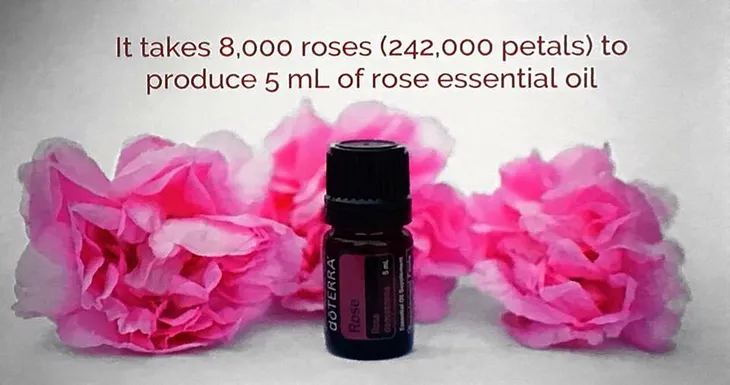 Deep Dive Into DoTerra Rose Essential Oil