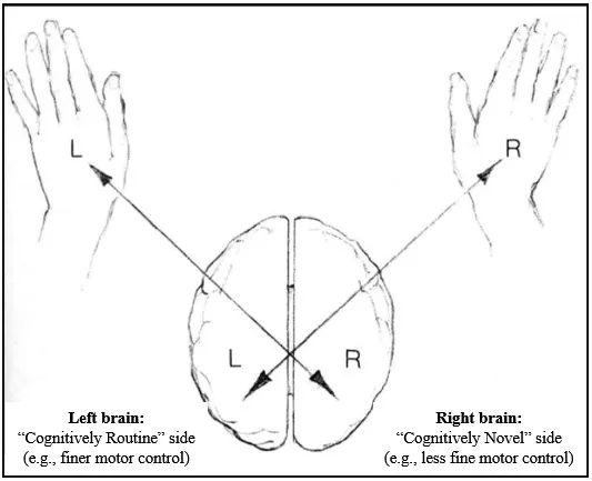 The Mystery of Handedness, Solved!: