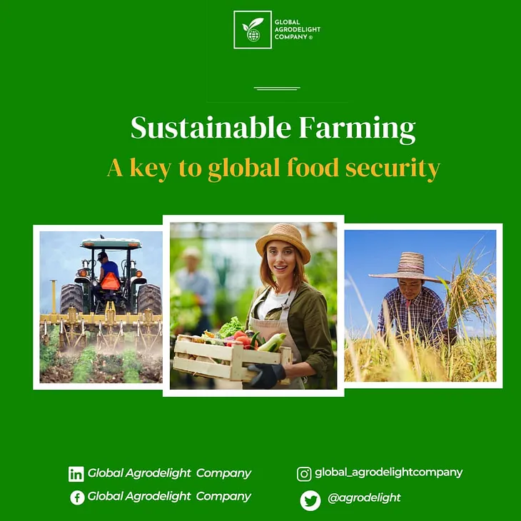 Sustainable Farming: A Key to Global Food Security