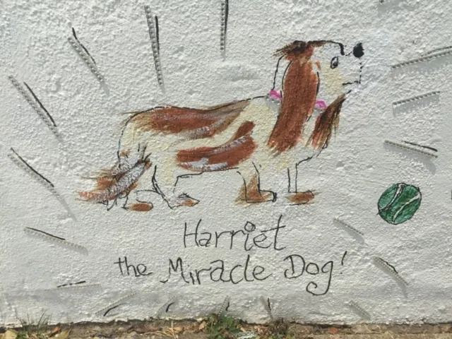 Harriet — The Miracle Dog